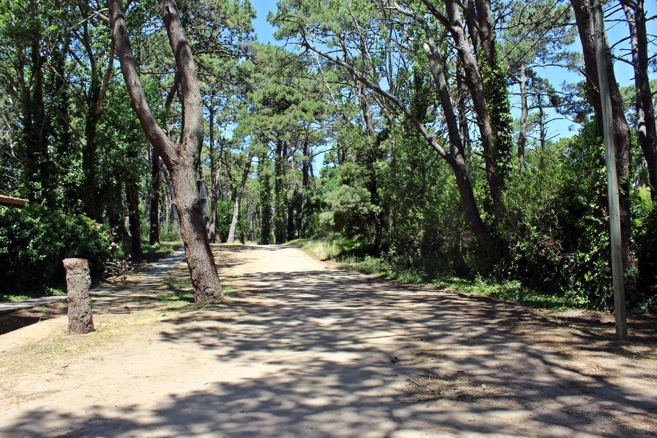 نزل فيلا جيزيلفي Ramma Camping المظهر الخارجي الصورة